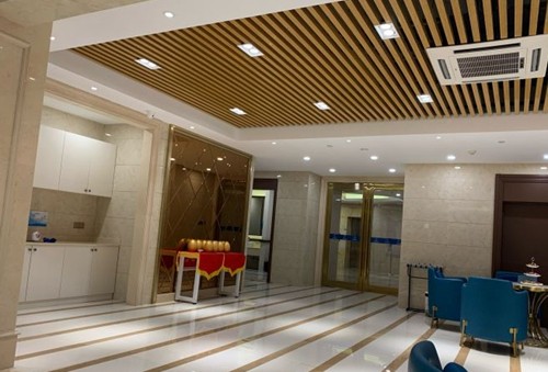 碧蓮盛醫(yī)生團(tuán)隊(duì)