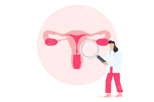 女性私密處卡通圖