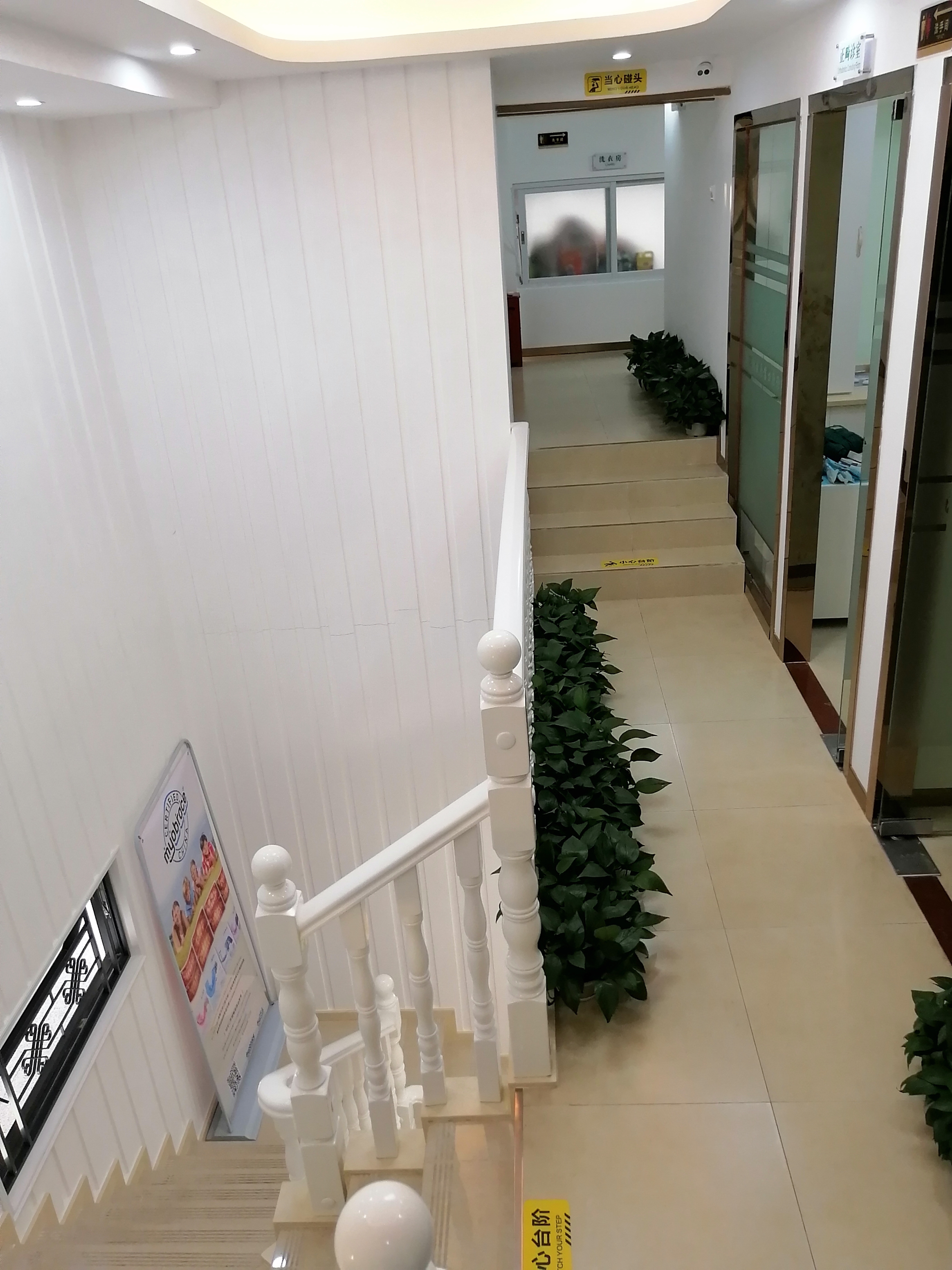 阜新諾貝爾口腔種植牙價(jià)格揭秘，單顆2580元起——醫(yī)生實(shí)力