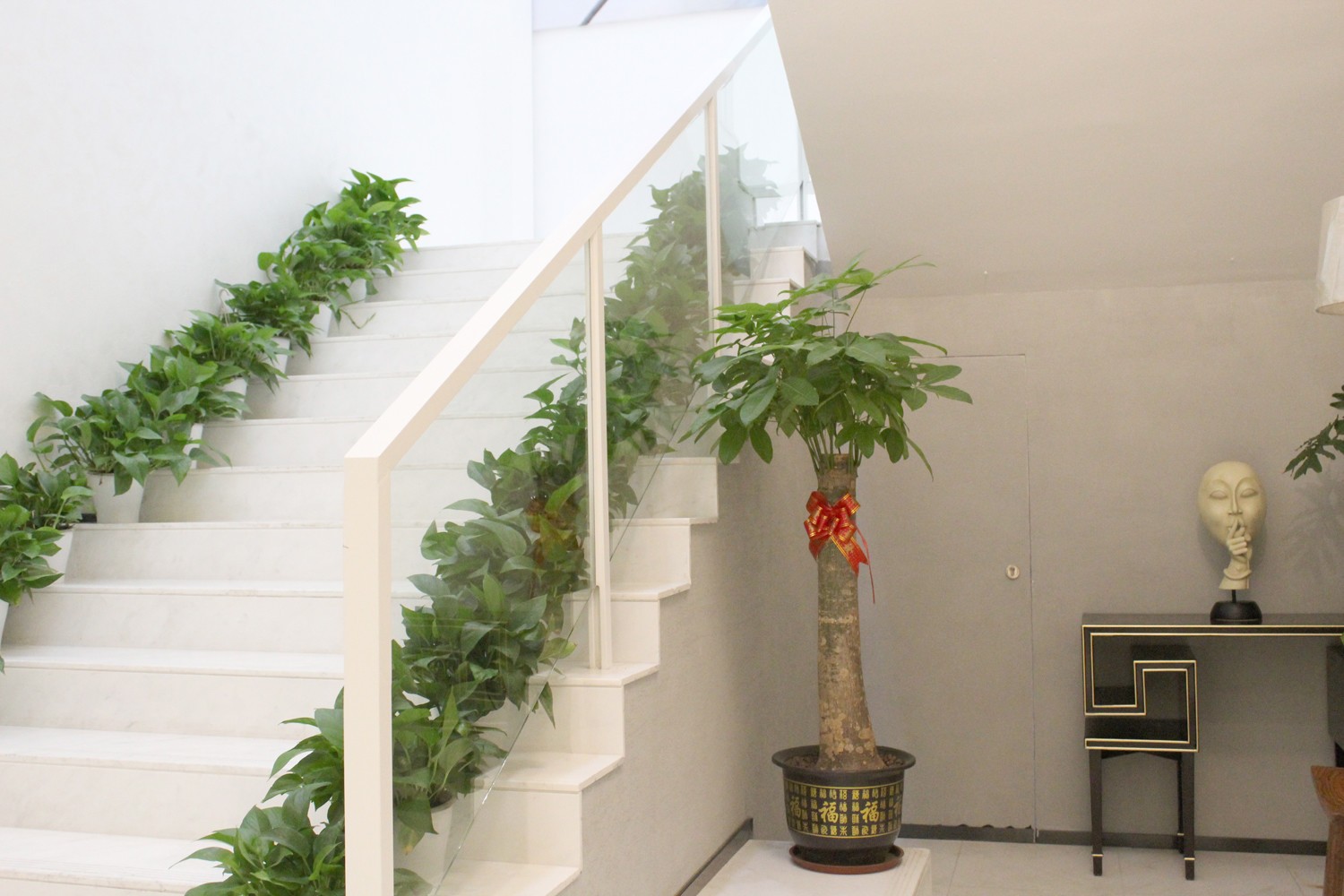 7、深圳米蘭柏羽醫(yī)療美容醫(yī)院——上市集團旗下醫(yī)美品牌