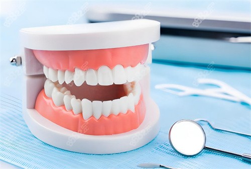 牙齒整齊模型 牙齒整齊模型