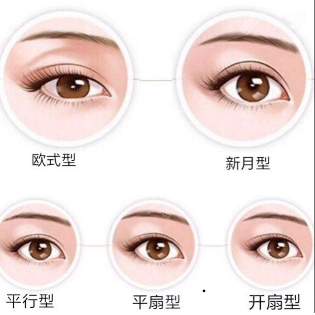 上海顧建成醫(yī)生怎么樣呢