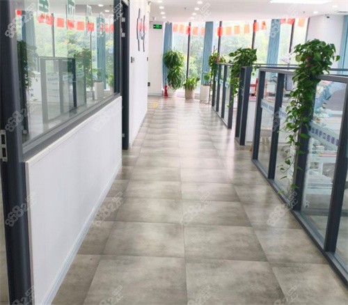 駐馬店春陽口腔內(nèi)部走走廊