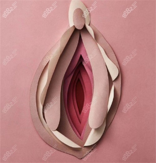 女性私密部位美觀的樣子圖片