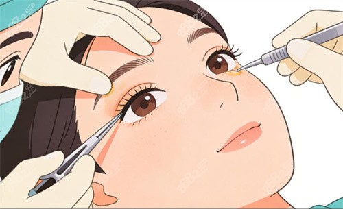 杜園園和師麗麗誰更出色一點？從技術特色到美學理念的深度對比