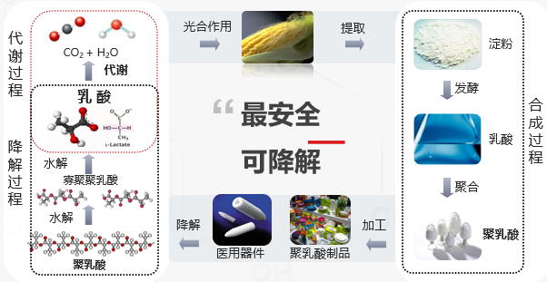 伊妍仕法定授權(quán)醫(yī)院醫(yī)生查詢結(jié)果公布——上海美萊醫(yī)療美容醫(yī)院