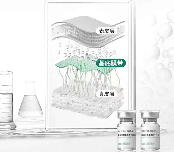 悅白之幾膠原蛋白層級示意圖 悅白之幾膠原蛋白層級示意圖