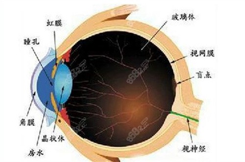 繼發(fā)性青光眼 繼發(fā)性青光眼