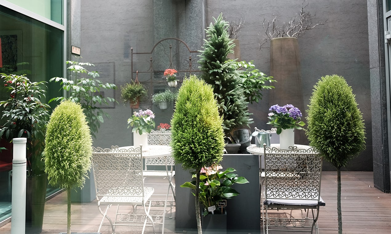 青島激光祛斑比較好的醫(yī)院排名——青島博士醫(yī)學(xué)美容醫(yī)院