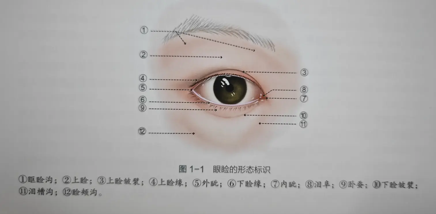 多項目覆蓋下的職責(zé)邊界與醫(yī)生選擇邏輯