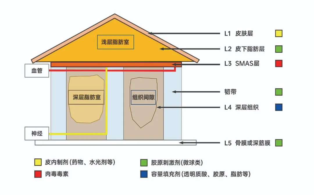 面部自體脂肪修復(fù)專家韋元強(qiáng)能預(yù)約嗎？能！擅長面部修復(fù)口碑好，點(diǎn)擊了解預(yù)約方式 