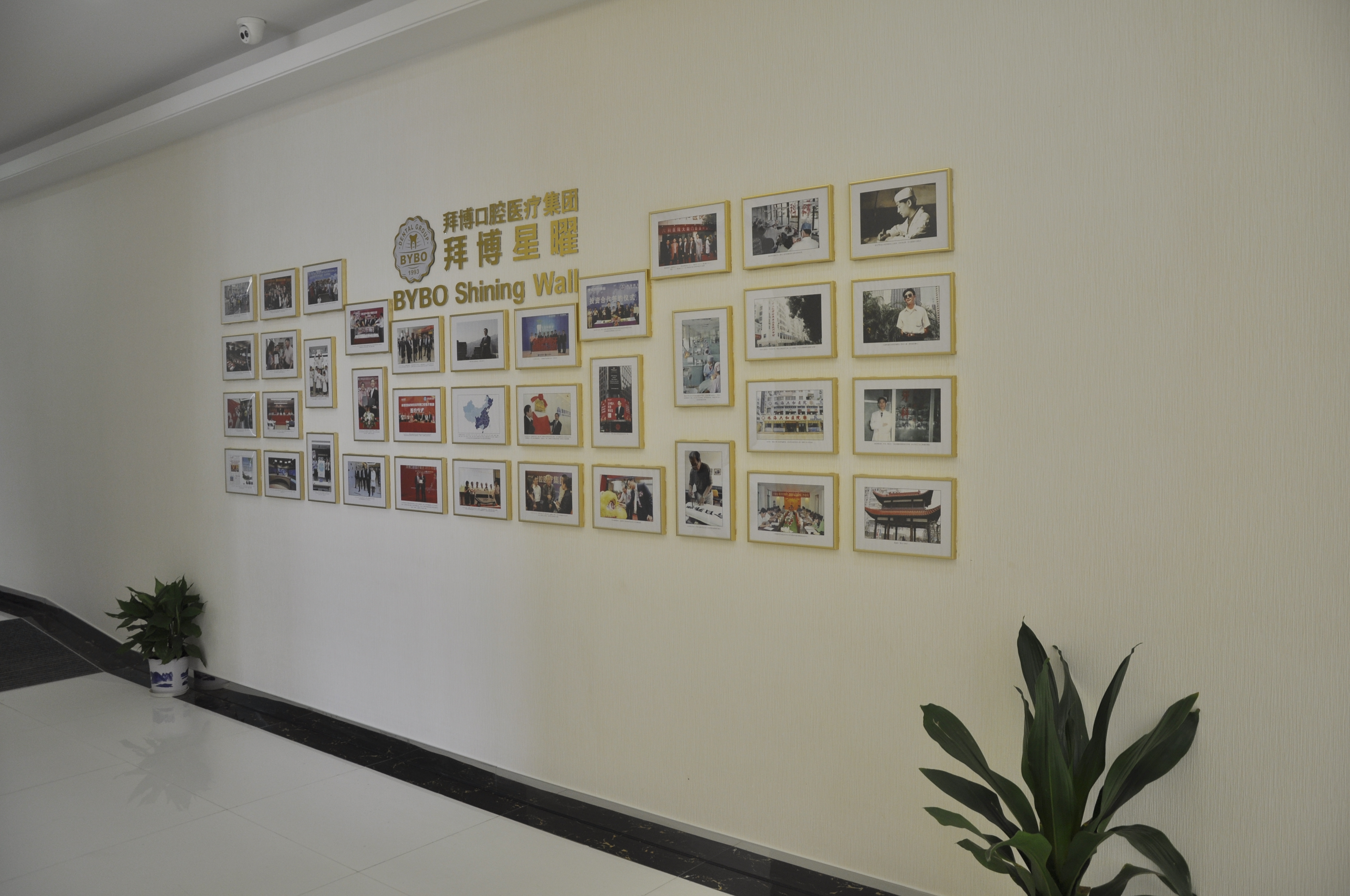 六、 理性選擇路徑總結(jié)：如何看懂、選對、少踩坑？