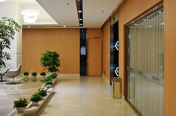 術(shù)后總結(jié)與建議