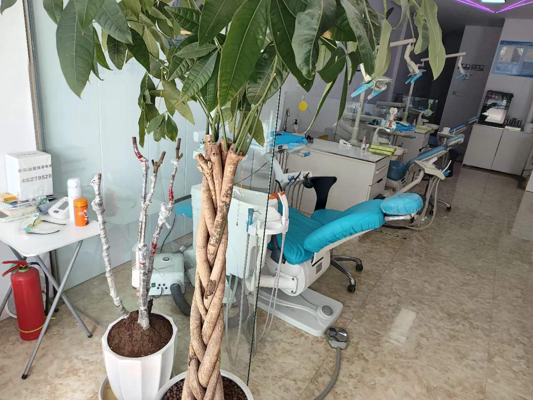 一、西 南口腔醫(yī)院的資質與專精性m.sorencai.cn