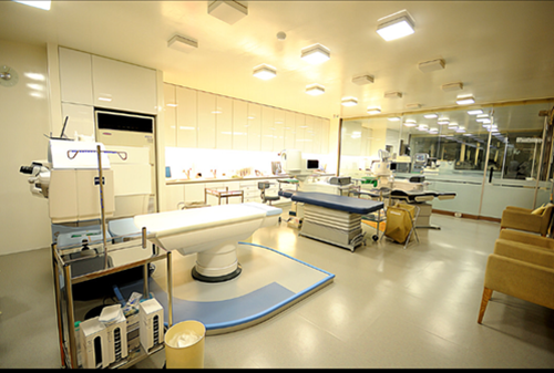 上市集團依托，實力雄厚