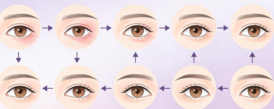 專門(mén)醫(yī)療支持的重要性