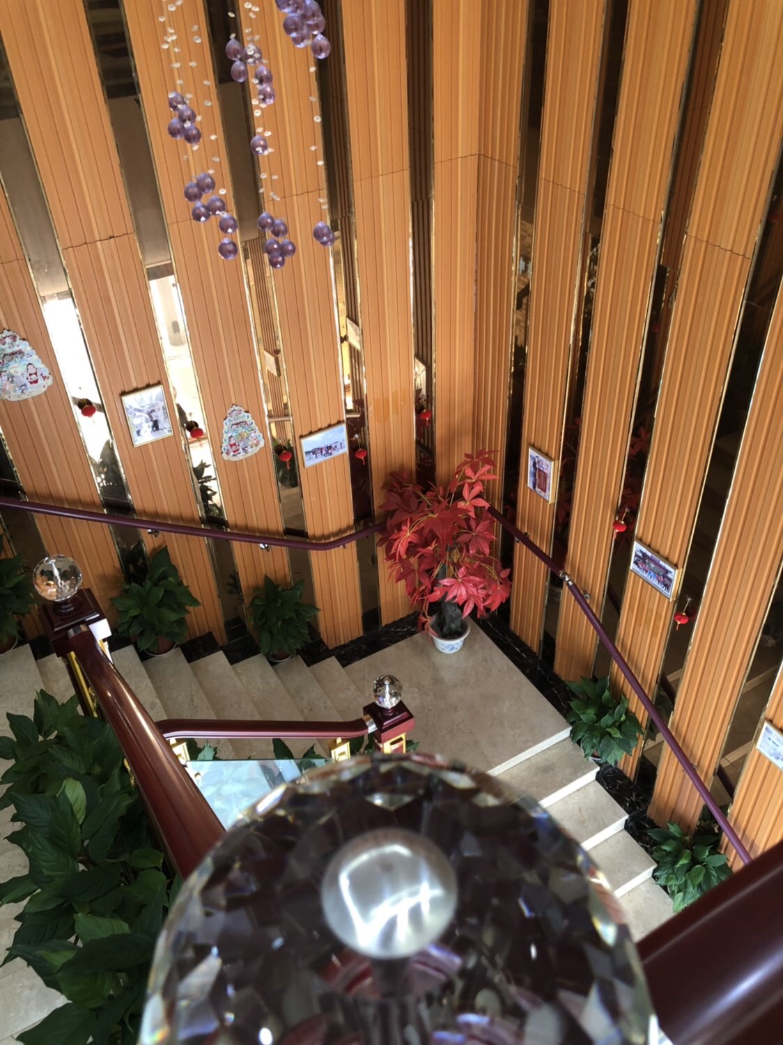 正規(guī)資質(zhì)控本，保護品質(zhì)與價格