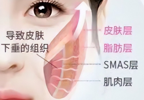 黃寅守和袁強(qiáng)哪個醫(yī)生靠譜？對比執(zhí)業(yè)資質(zhì)、技術(shù)特色與口碑為你揭曉答案 