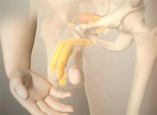 男科醫(yī)生張國(guó)喜是哪個(gè)醫(yī)院的？所在醫(yī)院科室介紹、醫(yī)生擅長(zhǎng)項(xiàng)目與掛號(hào)攻略全整理