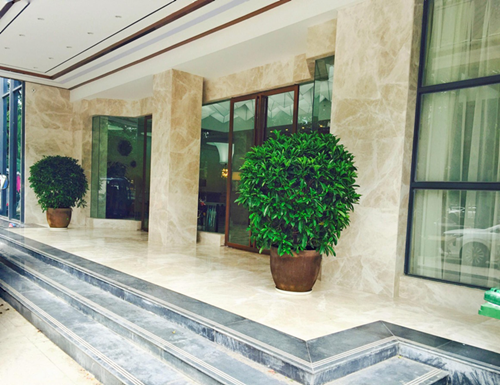 二、益陽德美口腔的技術(shù)特色