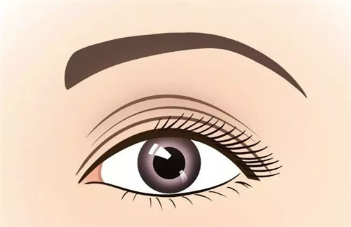 梁偉中醫(yī)生手術價格貴嗎？眼修復、拉皮提升、眼袋綜合項目收費明細與性價比全方位詳細解析