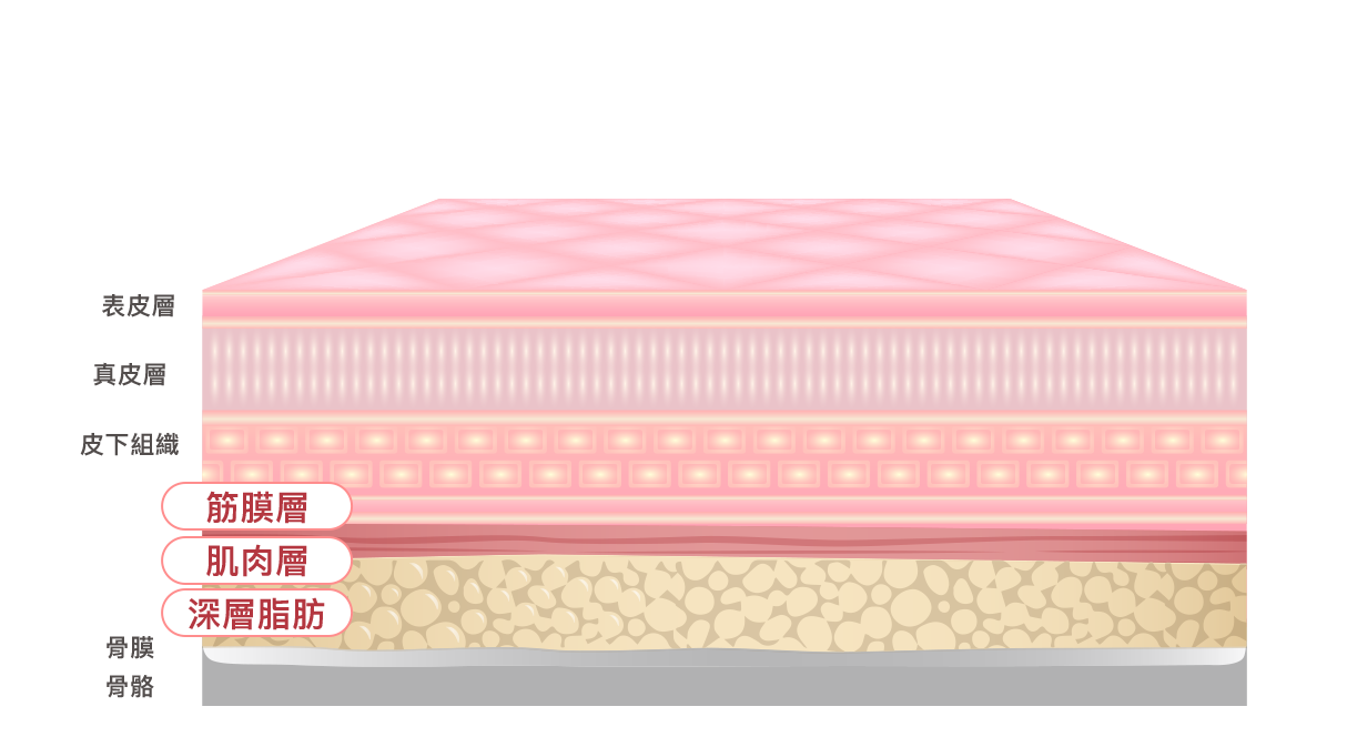 北京嘉禾李燕醫(yī)生面部年輕化項目有哪些亮點？