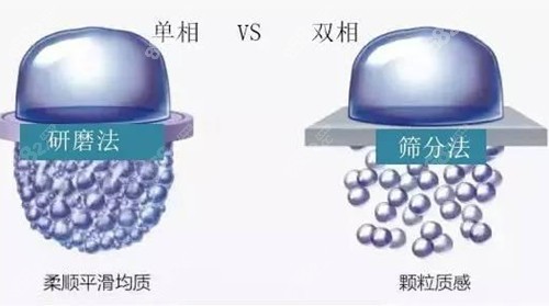 單相和雙相玻尿酸對比模型示意圖