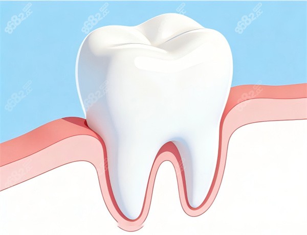 牙齒美白動畫圖片展示