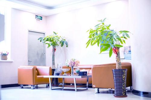 沈陽馬文足科核心技術(shù)優(yōu)勢(shì)