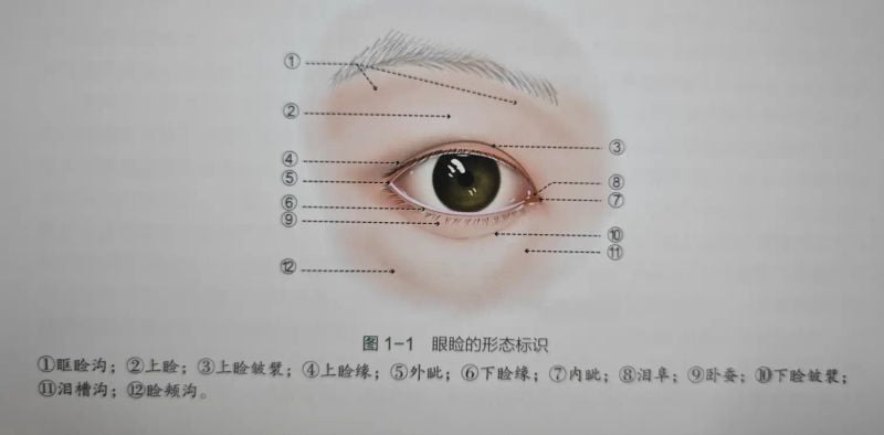 二、除了自然,金华丽都刘亮医生技术还有哪些硬核优势?
