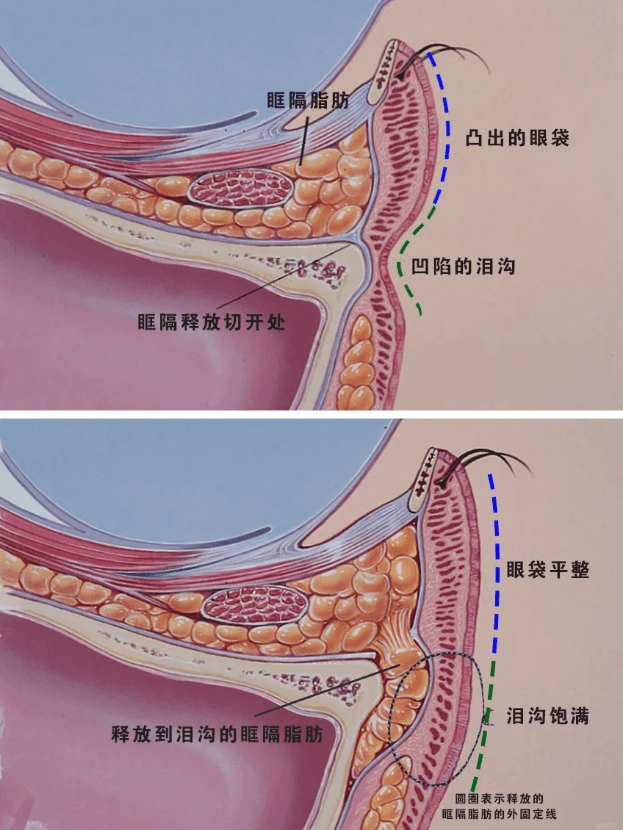 五、患者对杜圆圆修复的评价