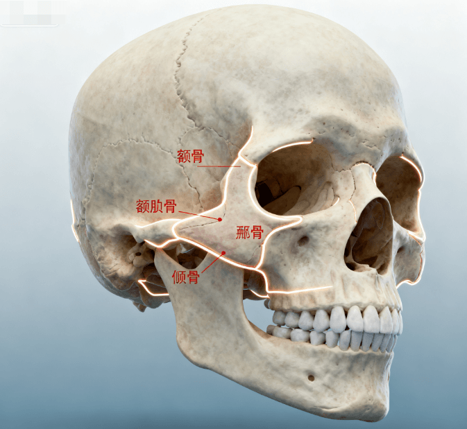 北京颌面医生何兆华简介，你别光记个名字，把他擅长哪些术式先弄清楚才好判断